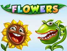 Flowers Touch