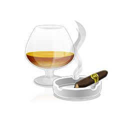 Mega Fortune Touch cognac
